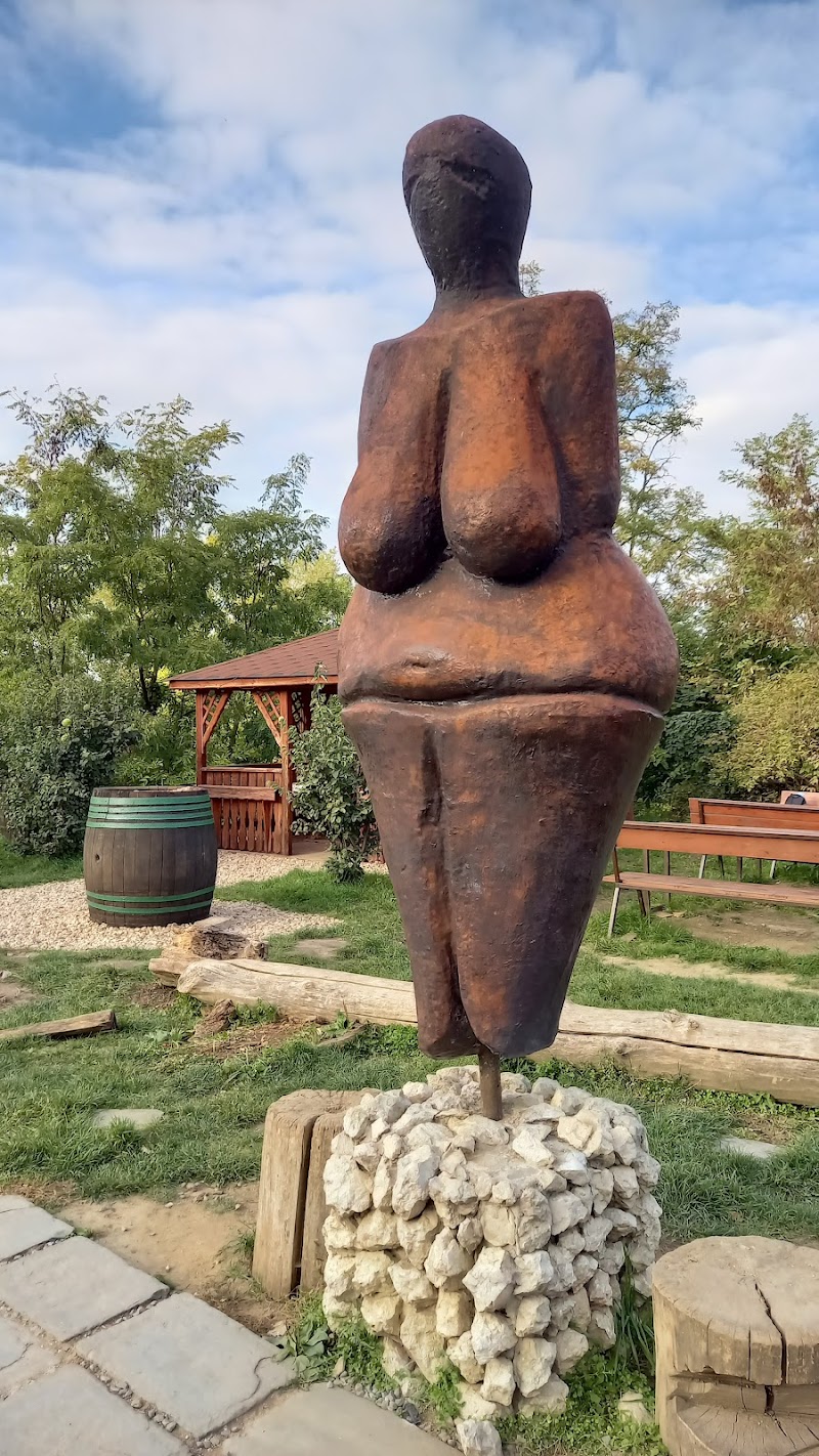 Studio Venus Brno photo