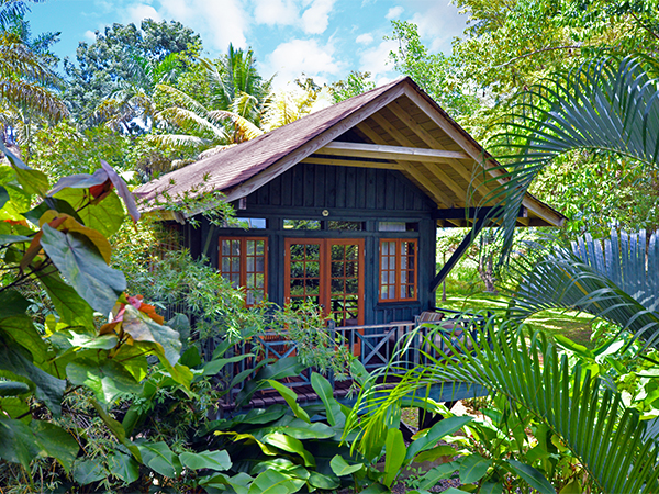 Sunset At The Palms Resort Negril - Resort Spa in Negril