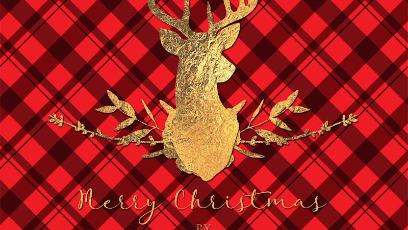 Swan Day Spa Algarve - Day Spa in Algarve