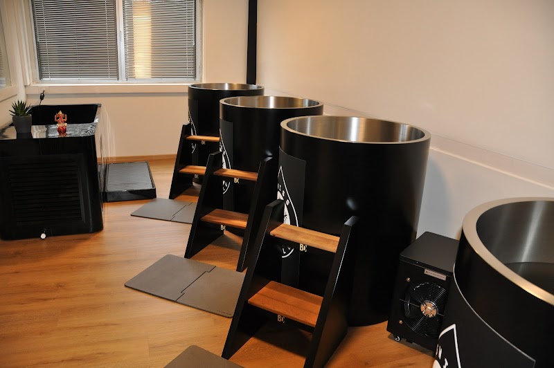 Swiss Ice Club Carouge - Wellness Retreat in Carouge