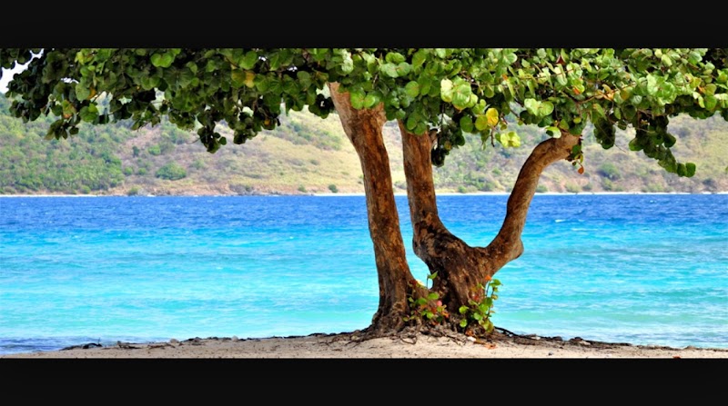 Synergy Fitness and Wellness Center St. Thomas