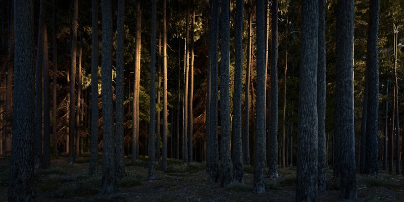 Taiga Spa Vienna - Day Spa in Vienna