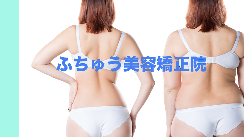 Takahashi Acupuncture Osteopathic Clinic (Director: Masahiro Takahashi) Fuchu City - Day Spa in Fuchu City