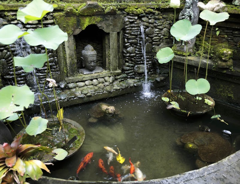 Tamarind Spa Gianyar photo