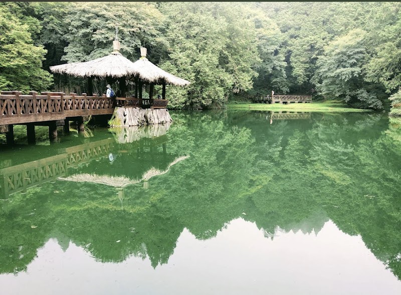 Tangzhihua Ganbanyoku Alishan Branch - Day Spa in Alishan