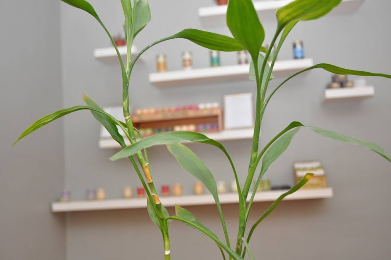 Telo Massage Spa Wilmington - Day Spa in Wilmington