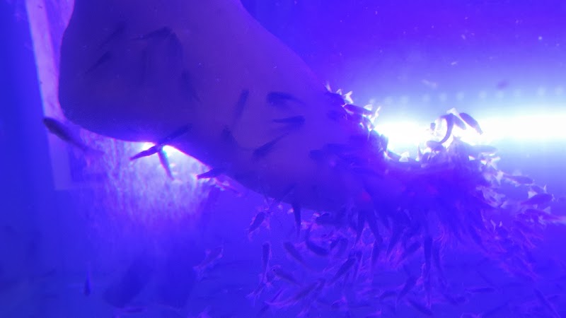 TenaRovinj Manicure, Pedicure And Fishpedicure - Day Spa in Rovinj