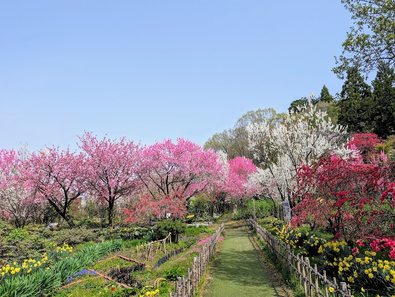 Tenjinyama Onsen Uozu City - Thermal Spa in Uozu City