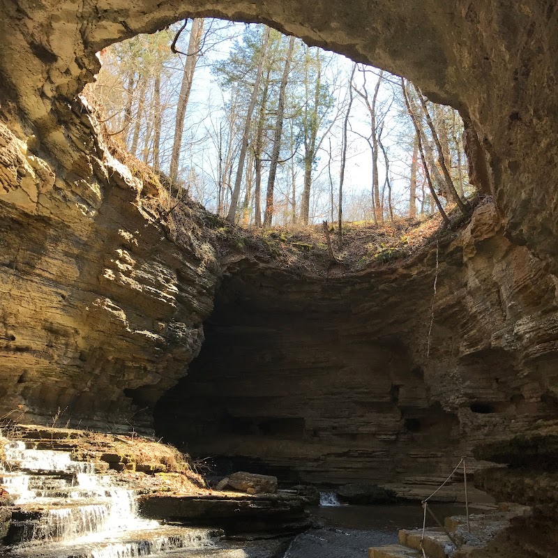 Tennessee Fitness Spa Waynesboro - Day Spa in Waynesboro