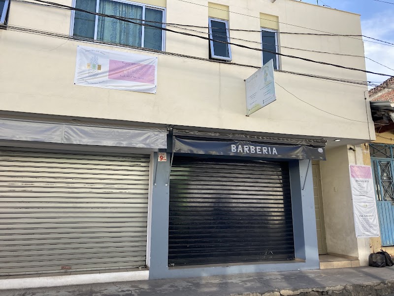 Terapias Alternativas by Pris Los Reyes de Salgado - Day Spa in Los Reyes de Salgado