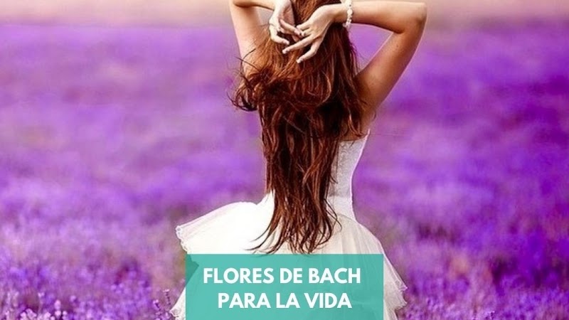 Terapias Holisticas Montevideo - Day Spa in Montevideo
