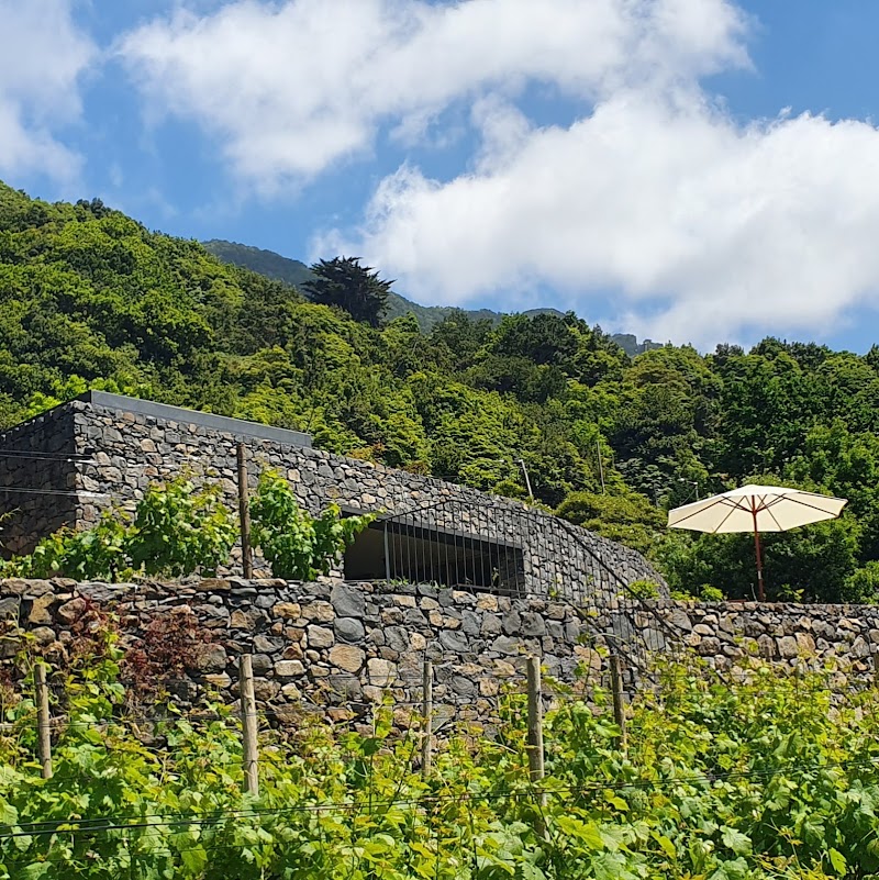 Terrabona Nature & Vineyards - Wine Country & Wellness Retreat Madeira