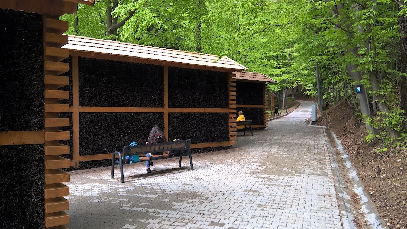 Tężnia Solankowa Iwonicz-Zdrój - Day Spa in Iwonicz-Zdrój