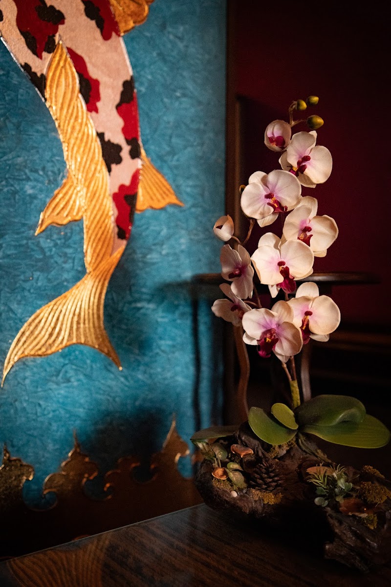 Thai massage Orchidea České Budějovice photo