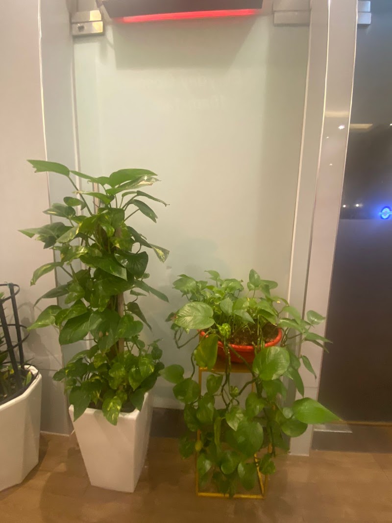 Thai Spa Rak Ras Al Khaimah - Day Spa in Ras Al Khaimah