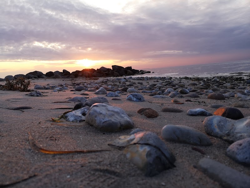 Thai Wellness Fyn Langeskov - Wellness Retreat in Langeskov