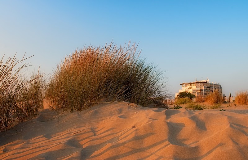ThalassoThalazur Port Camargue à le Grau du Roi Le Grau du Roi - Day Spa in Le Grau du Roi