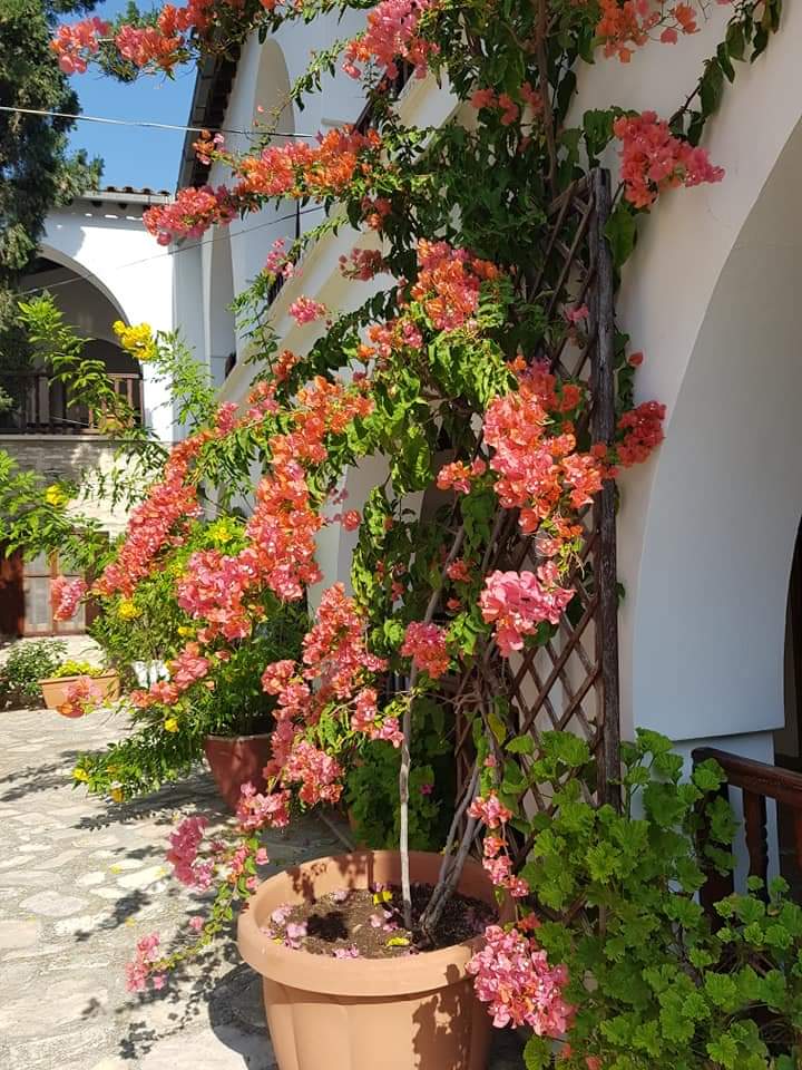 The Getaway Lakatamia - Day Spa in Lakatamia