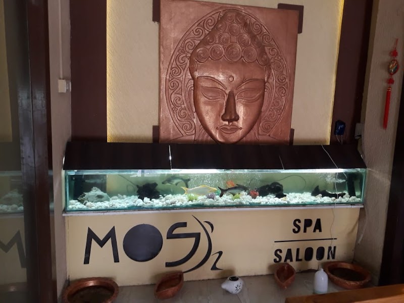 The MOS Spa & Salon Bhopal - Day Spa in Bhopal
