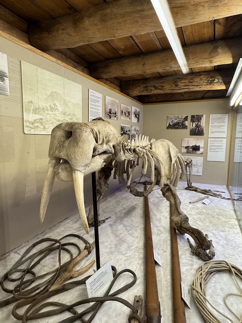 The Polar Museum Tromsø - Day Spa in Tromsø