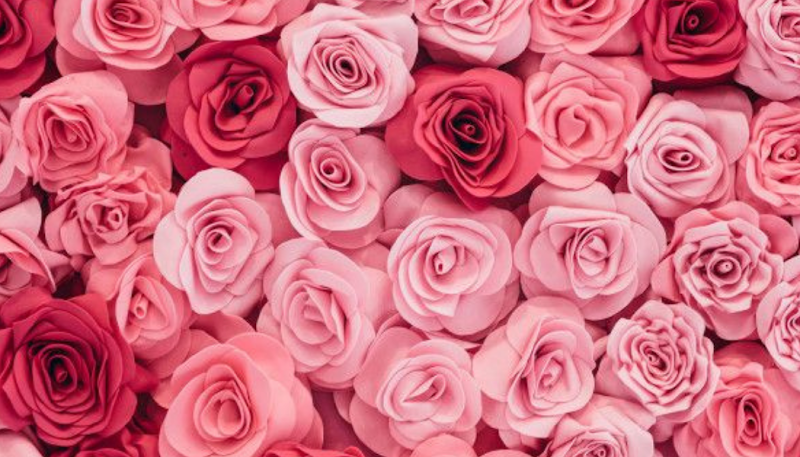 The Rose Manor Niagara - Hotel Spa in Niagara