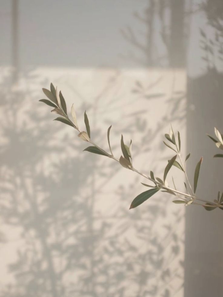 The Skin Enthusiast Fort Lauderdale - Day Spa in Fort Lauderdale