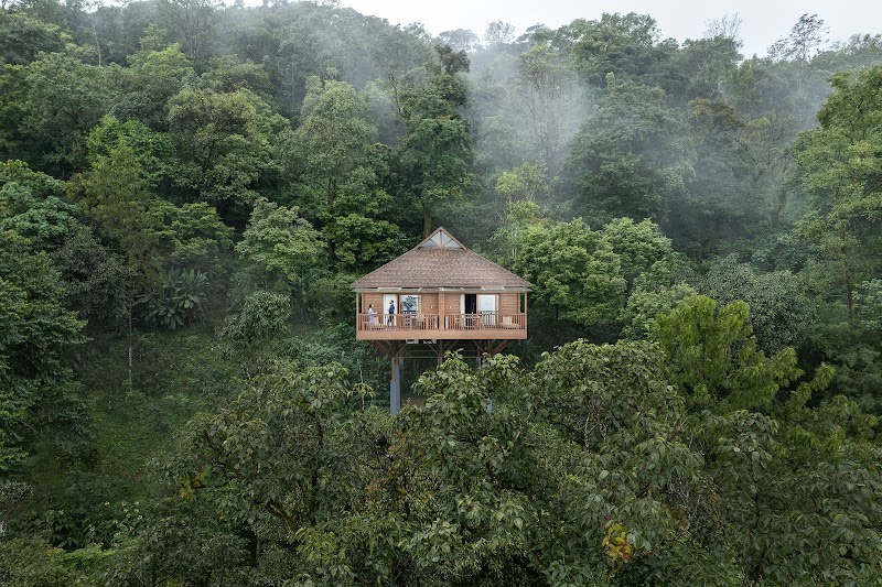 The Tamara Coorg - Resort Spa in Coorg