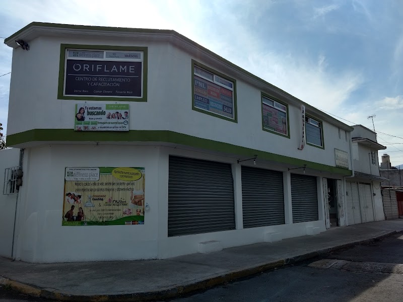 The Wellness Place Coacalco de Berriozábal - Wellness Retreat in Coacalco de Berriozábal