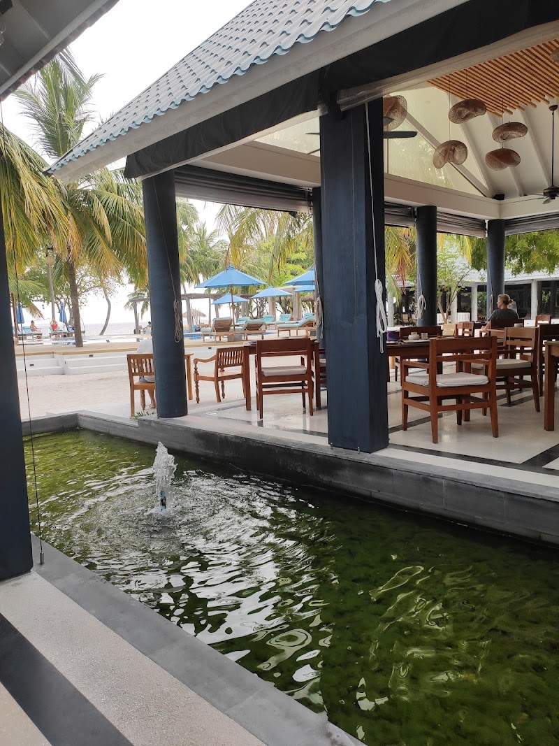 The Wellness Village Baa Atoll - Wellness Retreat in Baa Atoll