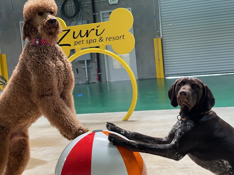 The Zuri Pet Spa and Resort Rancho Santa Margarita - Resort Spa in Rancho Santa Margarita