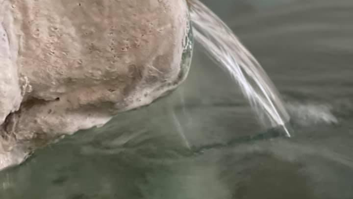 Thermes Gera Hot Springs Mytilene - Day Spa in Mytilene