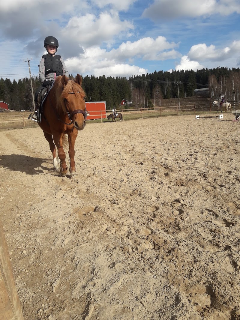 Tmi Heidi Karkulahti Hämeenkyrö - Day Spa in Hämeenkyrö