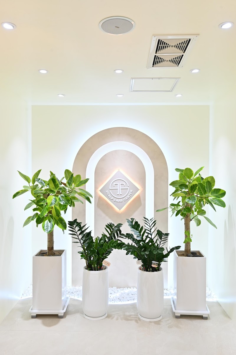 Topscalp Seocho Branch | Scalp Treatment & Head Spa Gangnam | Professional Scalp Care & Head Spa (Gangnam) Seoul - Day Spa in Seoul
