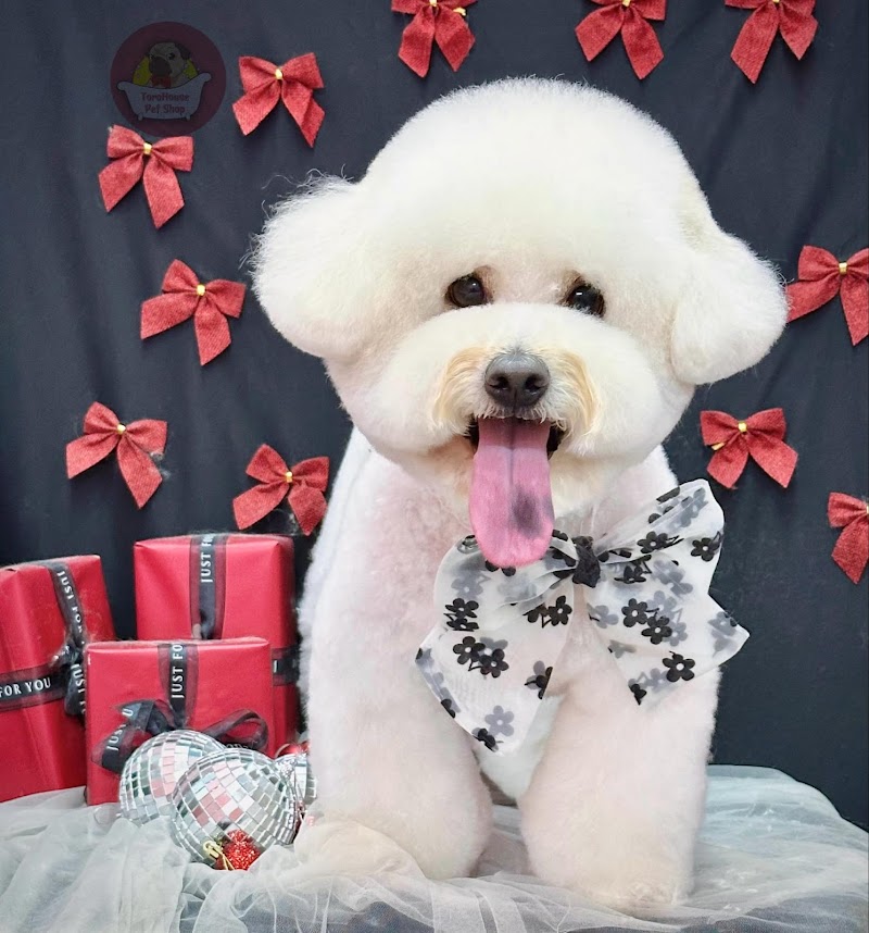 TORO House Spa and Grooming Tuy Hòa - Day Spa in Tuy Hòa