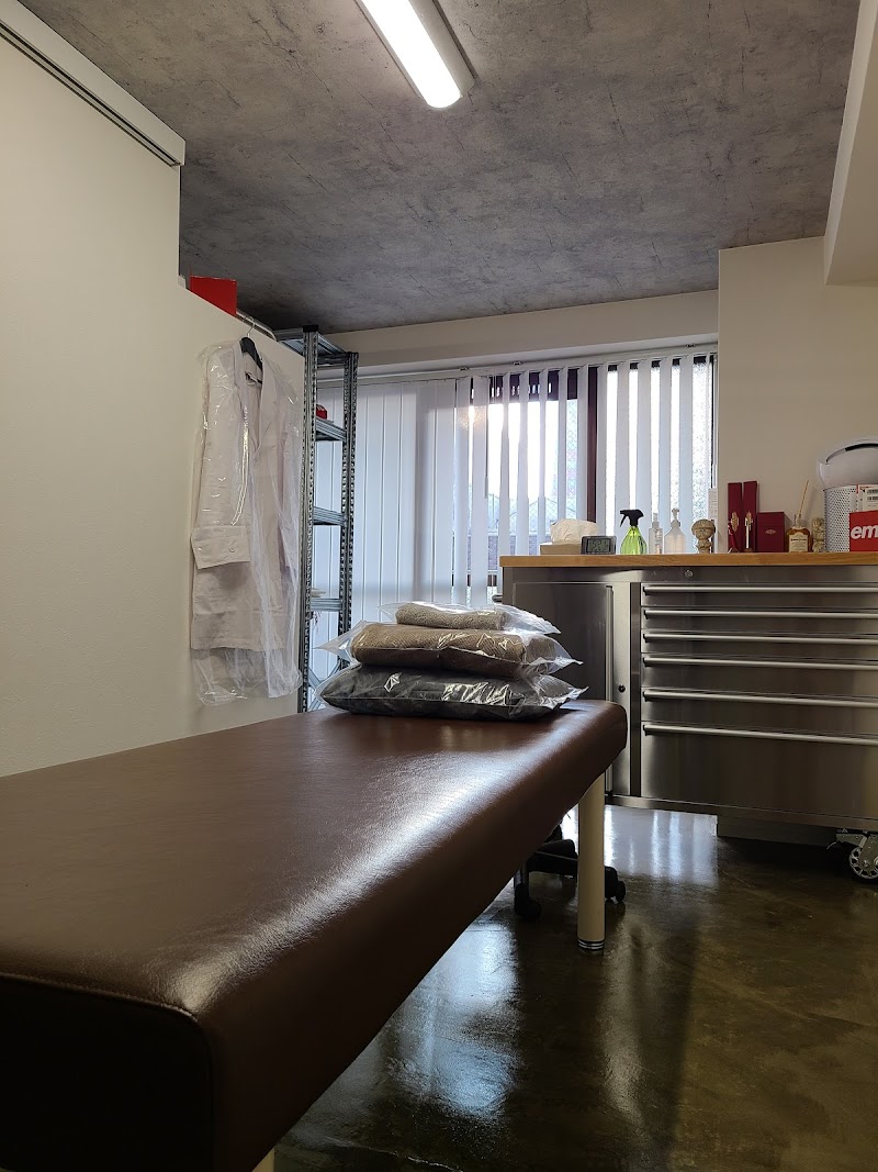 Total Seitai (Chiropractic) Hiroshima City Naka Ward - Day Spa in Hiroshima City Naka Ward