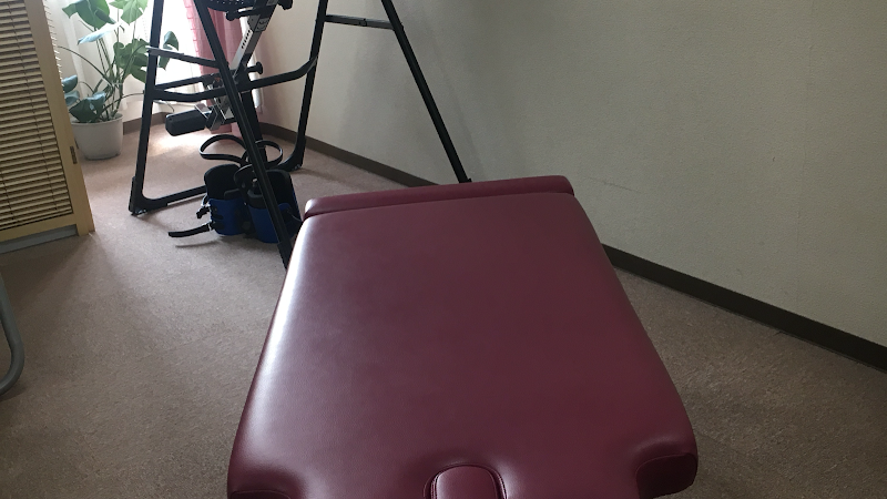 Toyo Seitai Kenkyujo Akihabara Osteopathic Clinic Chiyoda City - Day Spa in Chiyoda City