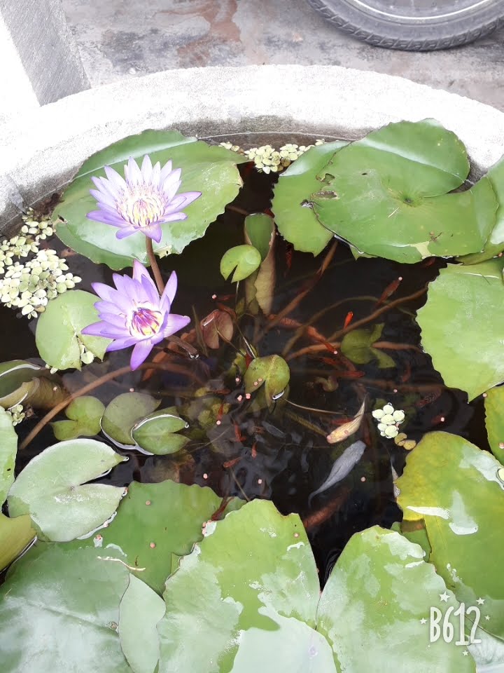 Trâm Na Vy Huyện Mộ Đức - Day Spa in Huyện Mộ Đức