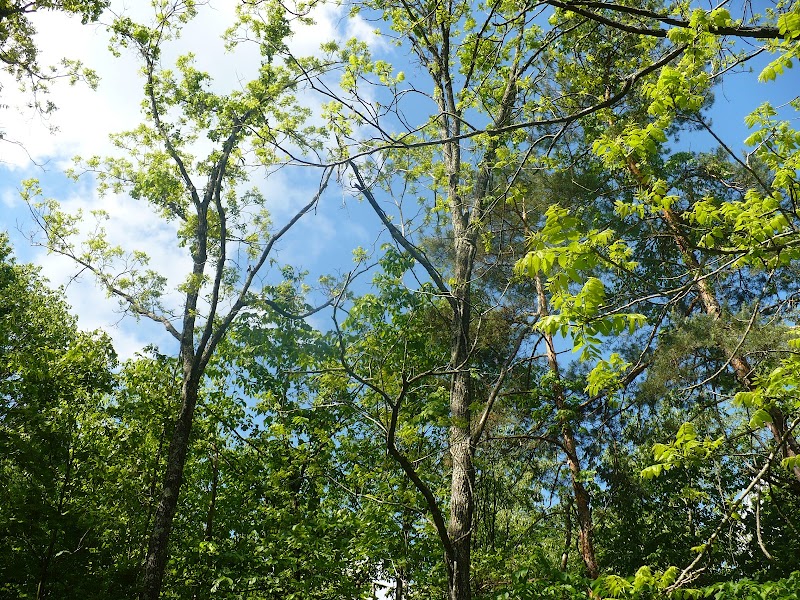 Tranquil Moments Therapeutic Massage Muncie - Day Spa in Muncie