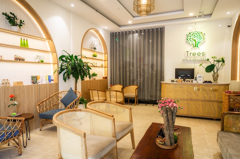 Tree Spa - Free Pickup - Da Nang Massage Sơn Trà - Day Spa in Sơn Trà