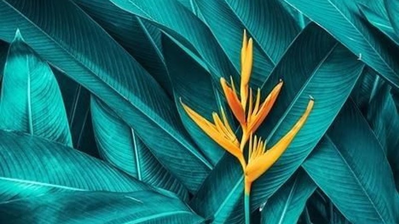 Trèsbienêtre.TBE Lagny-sur-Marne - Day Spa in Lagny-sur-Marne