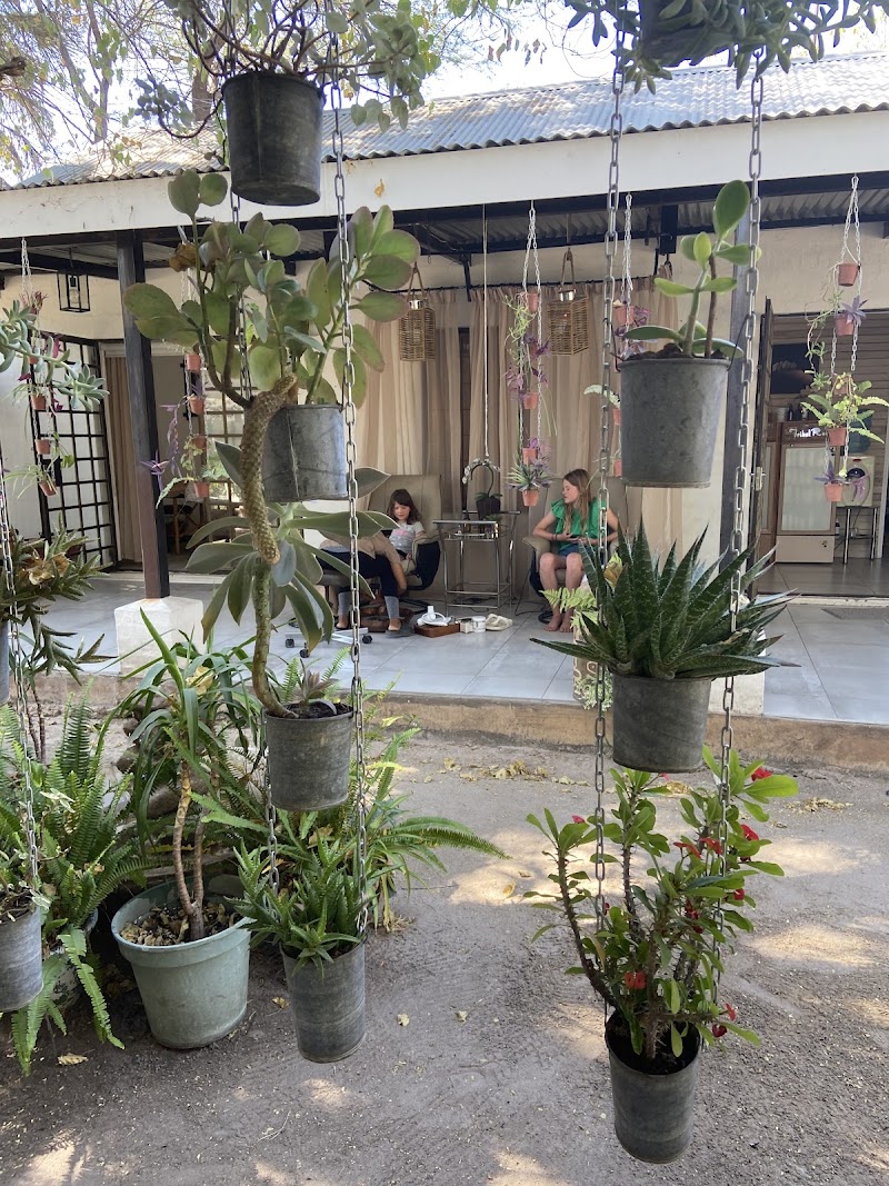 Tribal Roots Spa Okavango Delta