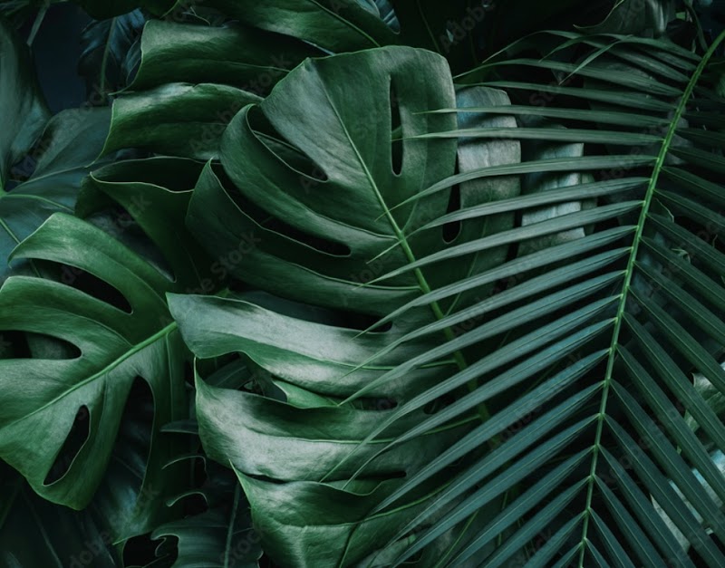 True Radiance Schuylkill Haven - Day Spa in Schuylkill Haven