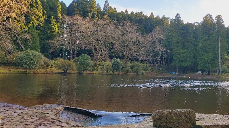 TRY Azores Angra do Heroismo - Day Spa in Angra do Heroismo