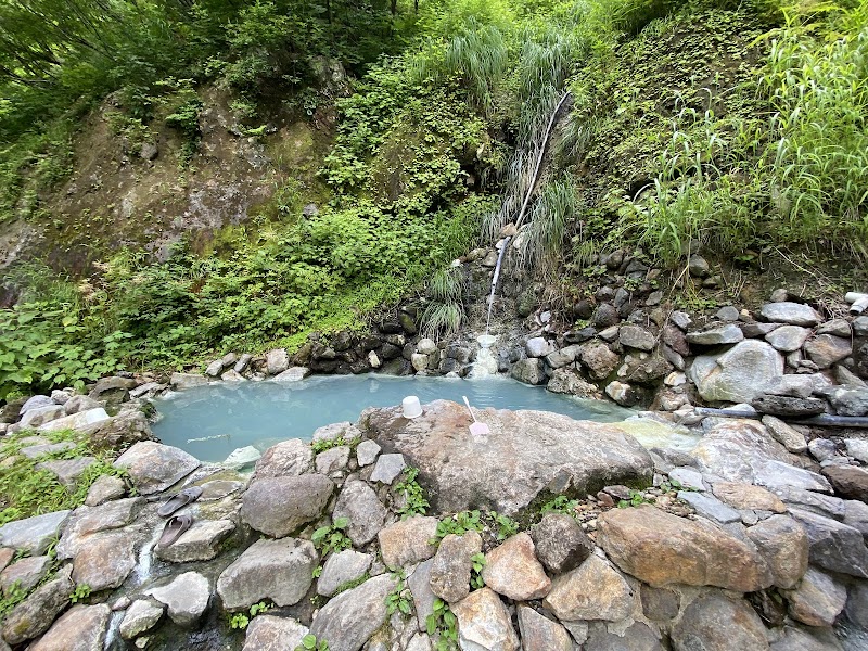 Tsubame Onsen Kawara no Yu Myoko City - Thermal Spa in Myoko City
