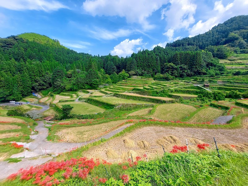 Tsuru wa Sennen Ukiha City - Day Spa in Ukiha City
