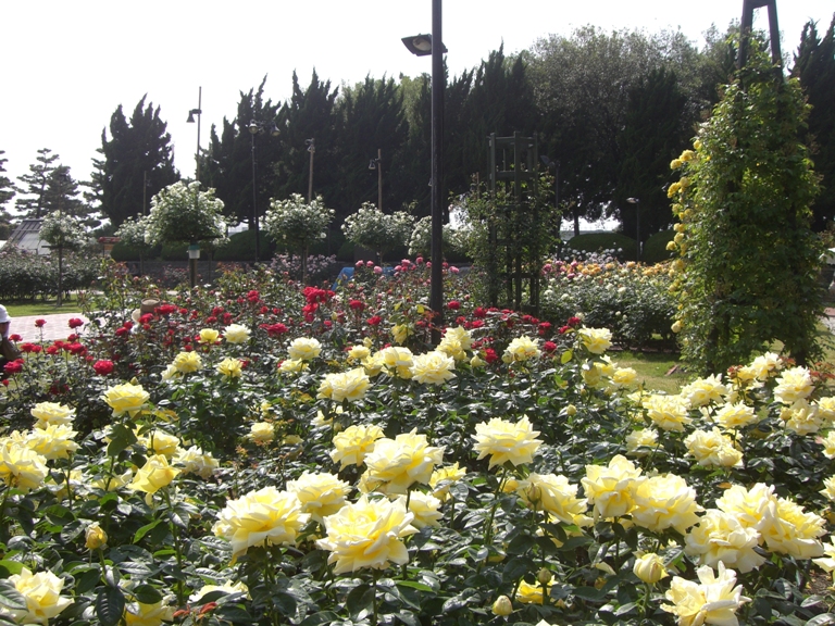 U-Bath Sakai Hamadera Sakai City Nishi Ward - Day Spa in Sakai City Nishi Ward