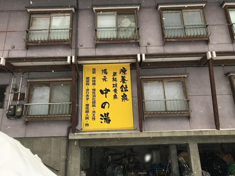 Ueno Kosen Tomano-yu Shoujukan Minamiuonuma - Day Spa in Minamiuonuma