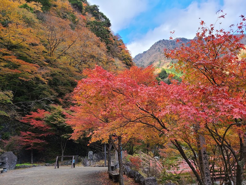 Umegashima Onsen Tourism Association Aoi Ward, Shizuoka - Thermal Spa in Aoi Ward, Shizuoka