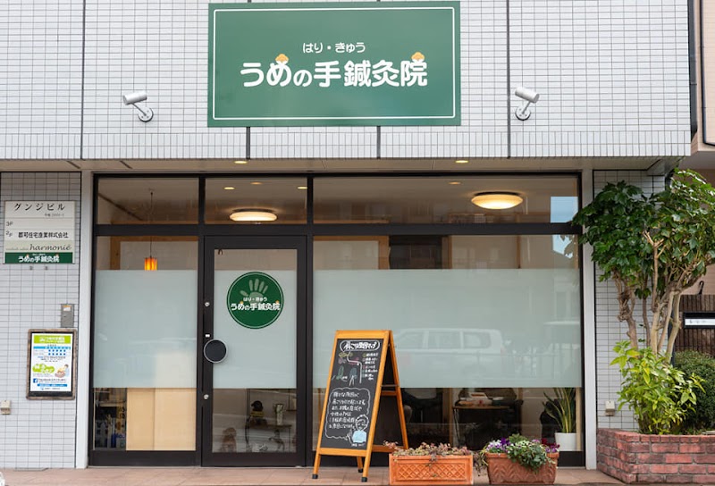 Umeno Te Acupuncture Clinic Hadano - Day Spa in Hadano