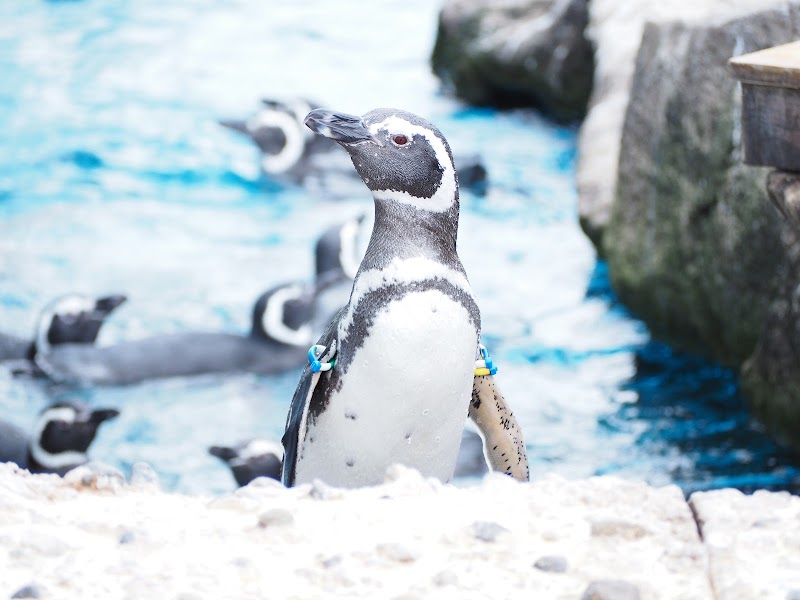 Unohama Mermaid Museum Joetsu - Day Spa in Joetsu